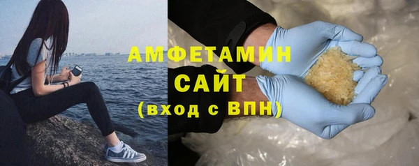 индика Алзамай